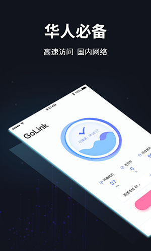 golink加速器国内版