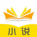 书村小说官方版