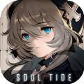 soul tide去广告版