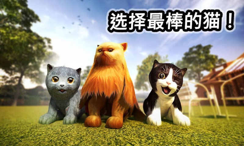 迷你小猫城市生存破解版