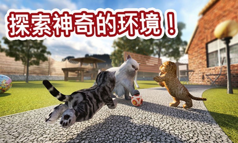 迷你小猫城市生存破解版